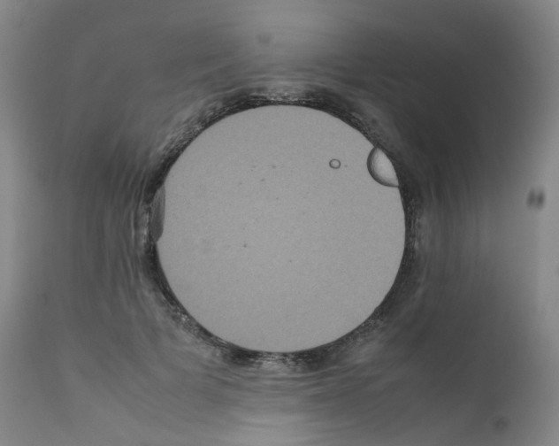 X0000111840697200909031704