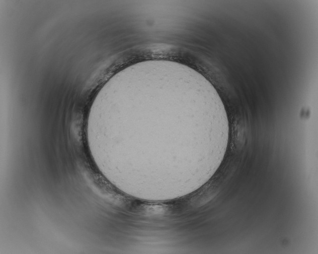 X0000111840698200909031704