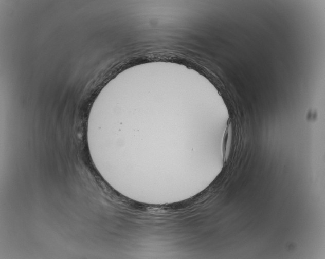 X0000111840701200909031704