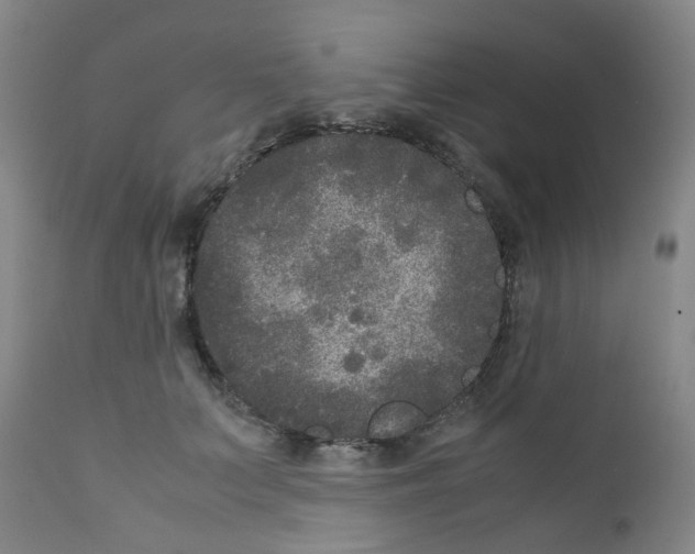 X0000111840703200909031704