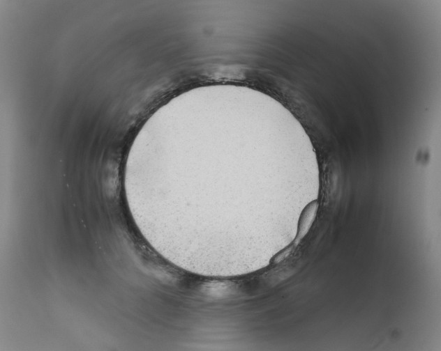 X0000111840704200909031704