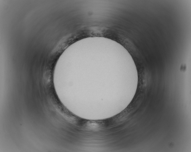 X0000111840706200909031704