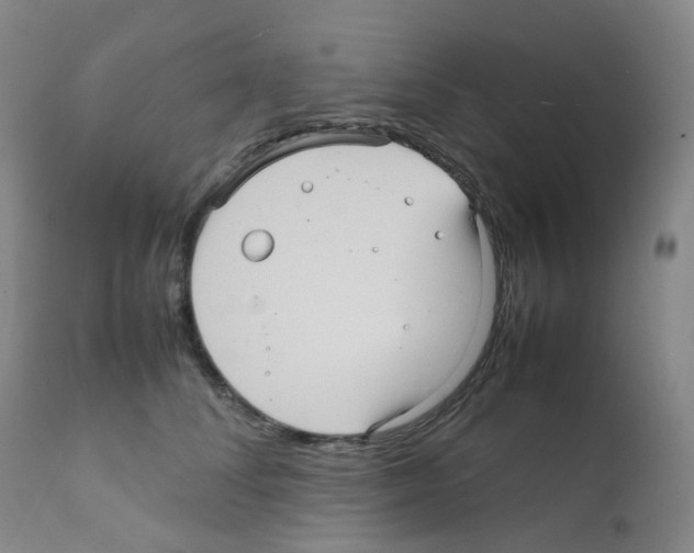 X0000111840708200909031704