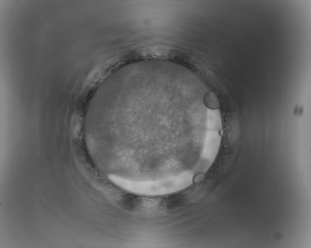 X0000111840709200909031704