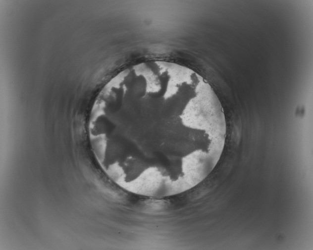 X0000111840711200909031704