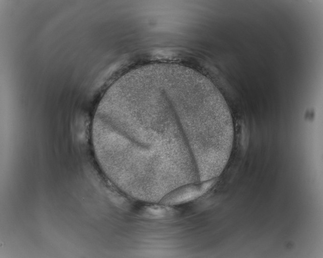 X0000111840712200909031704