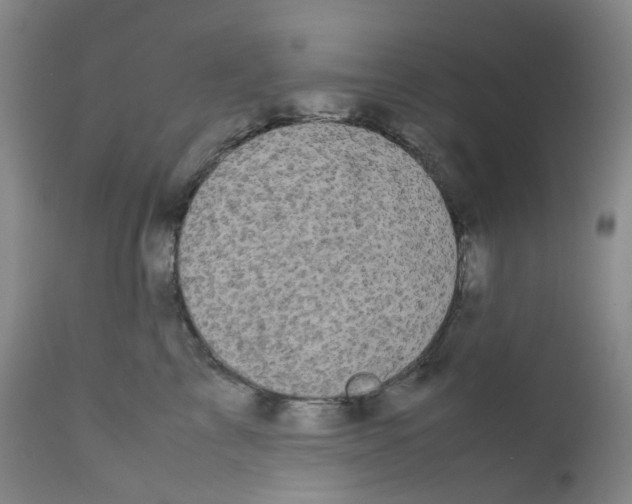 X0000111840713200909031704