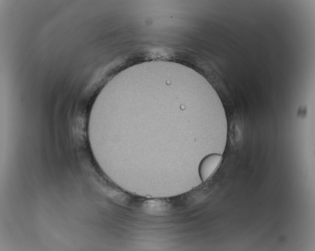 X0000111840714200909031704