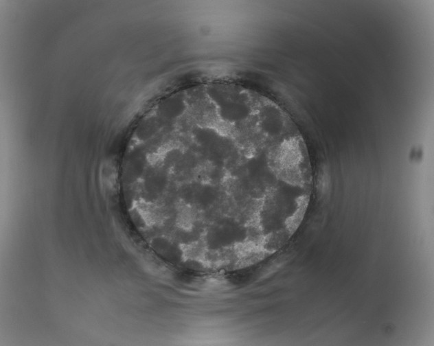 X0000111840715200909031704