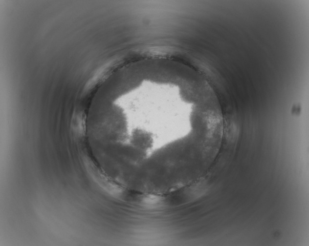 X0000111840718200909031704