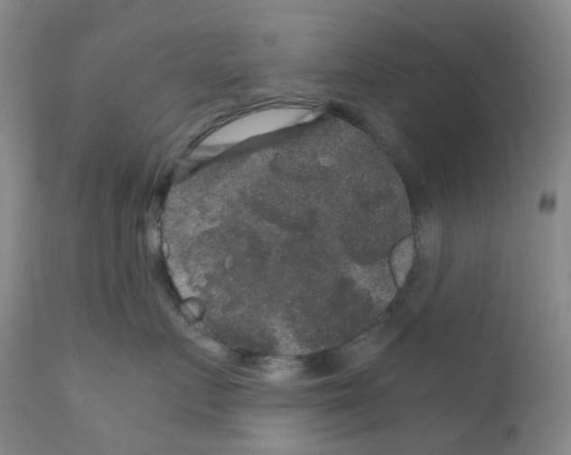 X0000111840719200909031704