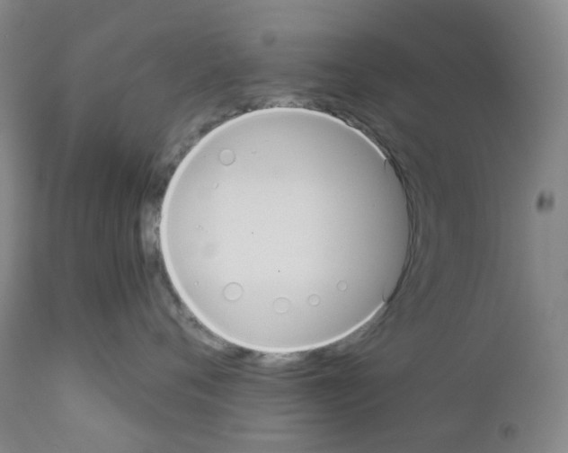 X0000111840720200909031704