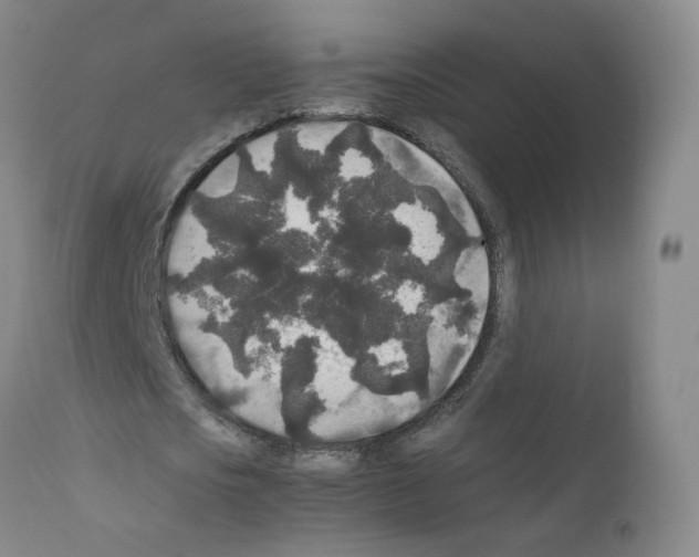 X0000111840721200909031703