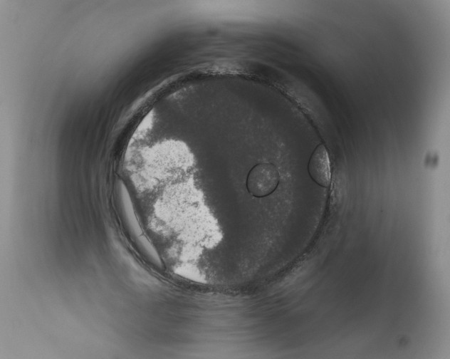 X0000111840722200909031703