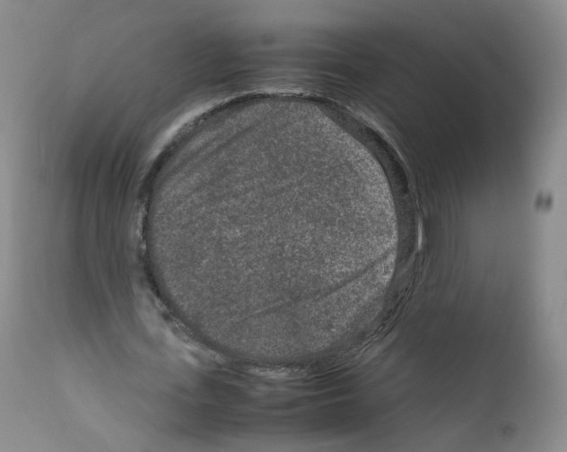 X0000111840723200909031703