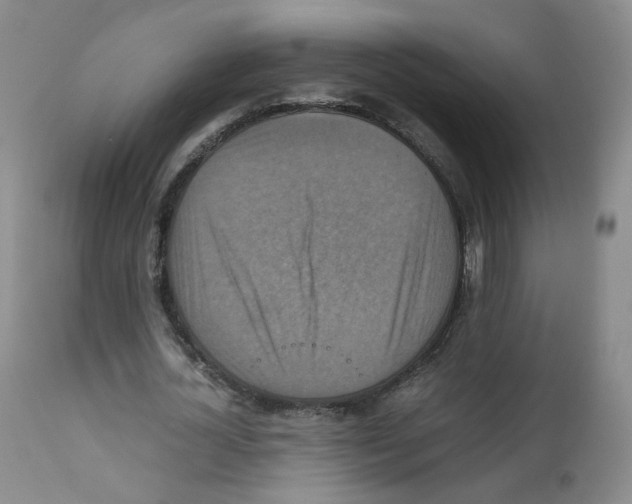 X0000111840724200909031703