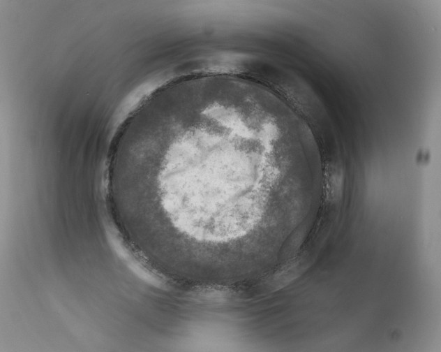 X0000111840726200909031703