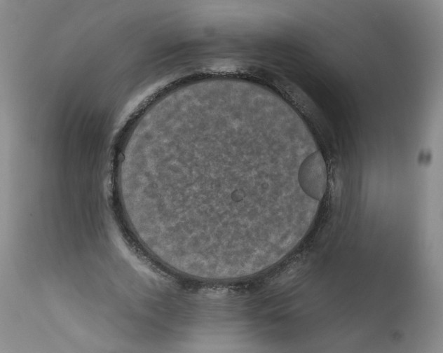 X0000111840728200909031703