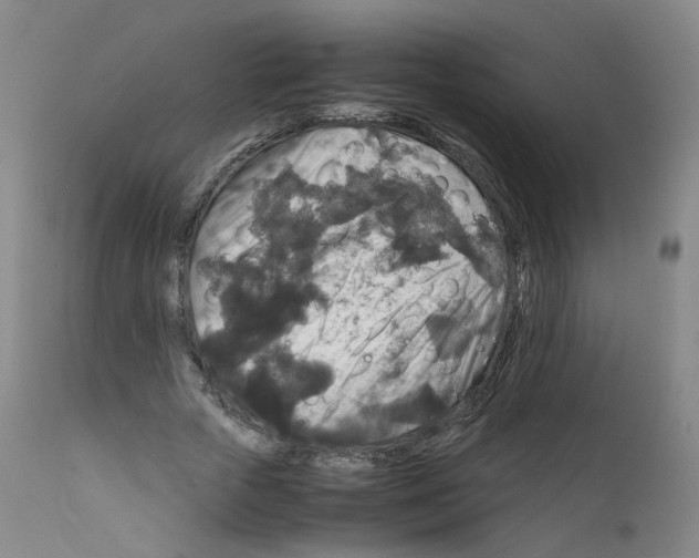 X0000111840729200909031703