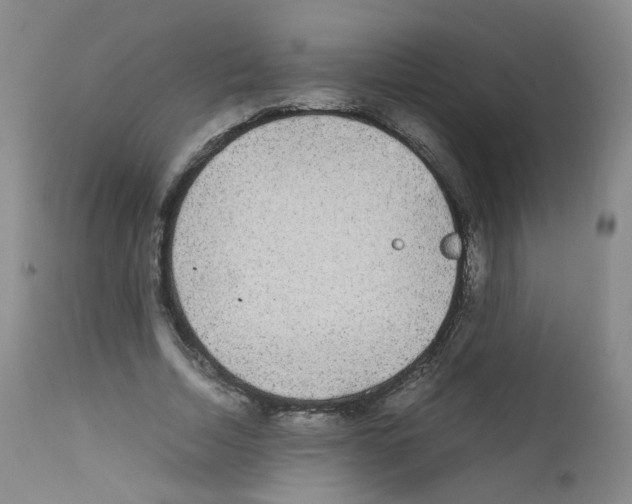 X0000111840730200909031703