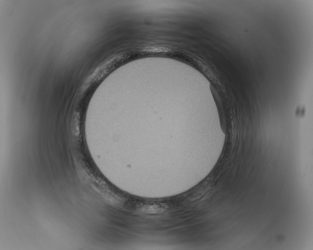 X0000111840731200909031703