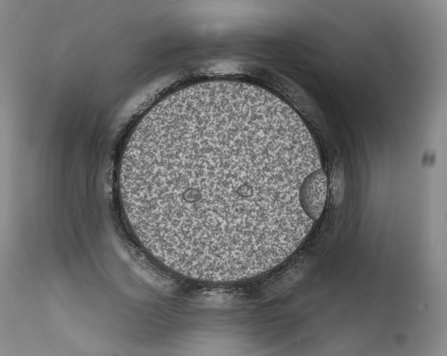 X0000111840732200909031703