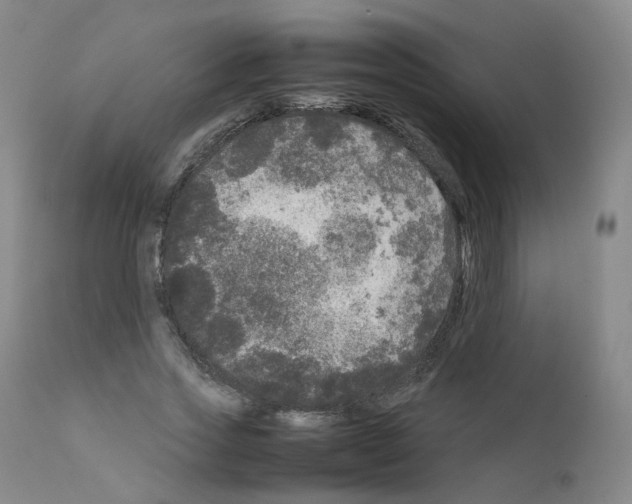 X0000111840733200909031703