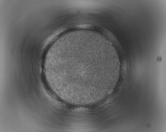 X0000111840734200909031703