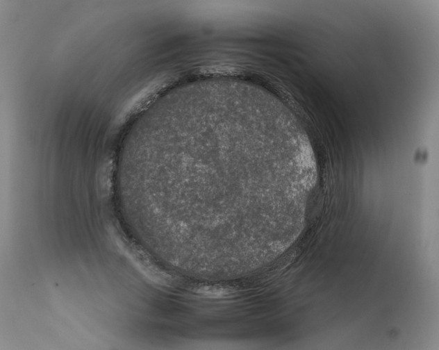 X0000111840735200909031703