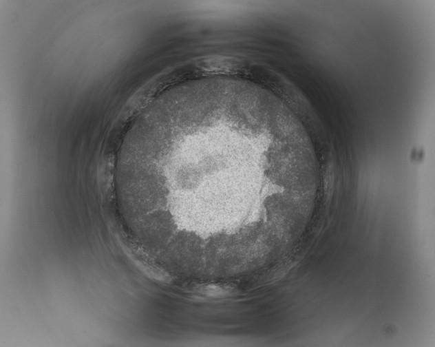 X0000111840737200909031703