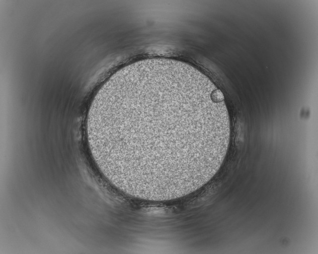 X0000111840738200909031703