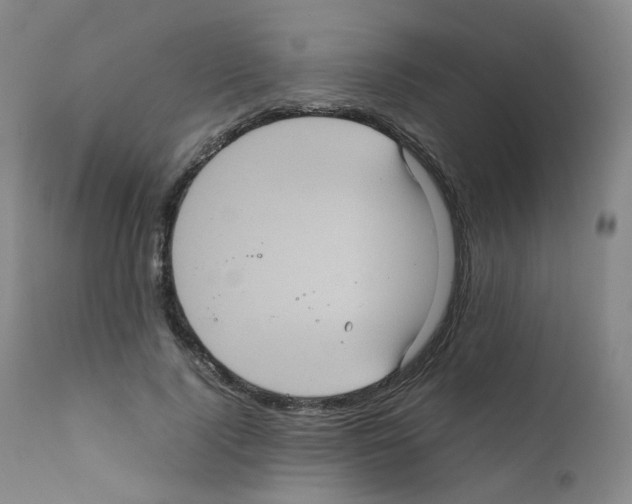 X0000111840740200909031703