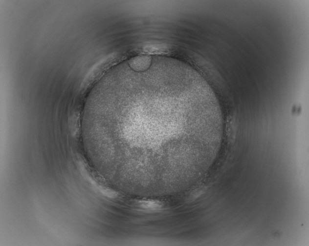 X0000111840741200909031703