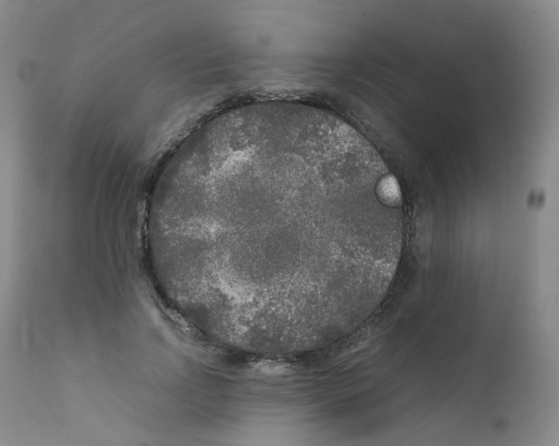 X0000111840742200909031703