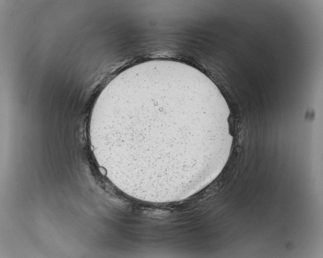 X0000111840743200909031703