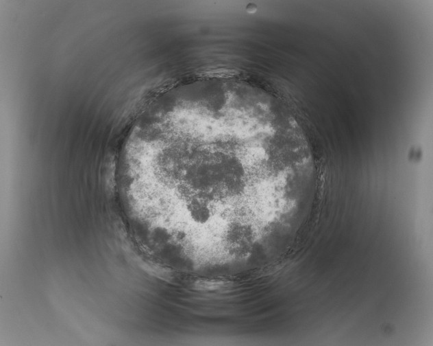 X0000111840745200909031703