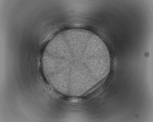 X0000111840746200909031703