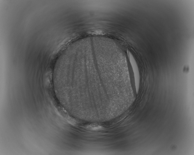 X0000111840747200909031703