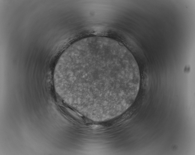 X0000111840748200909031703