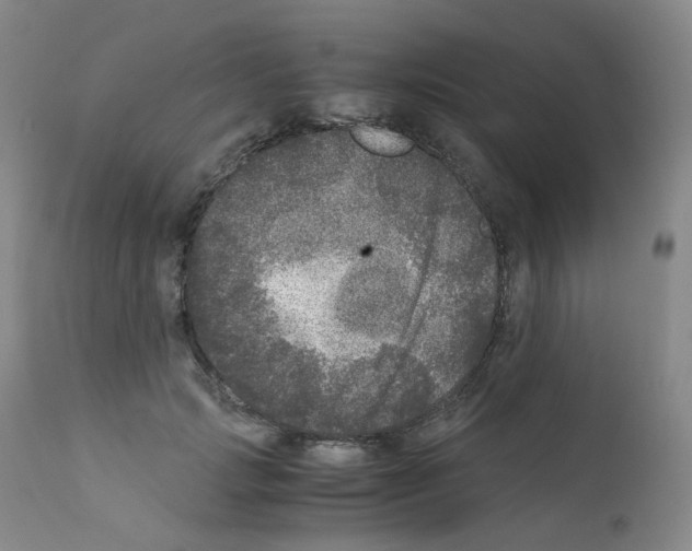 X0000111840749200909031703