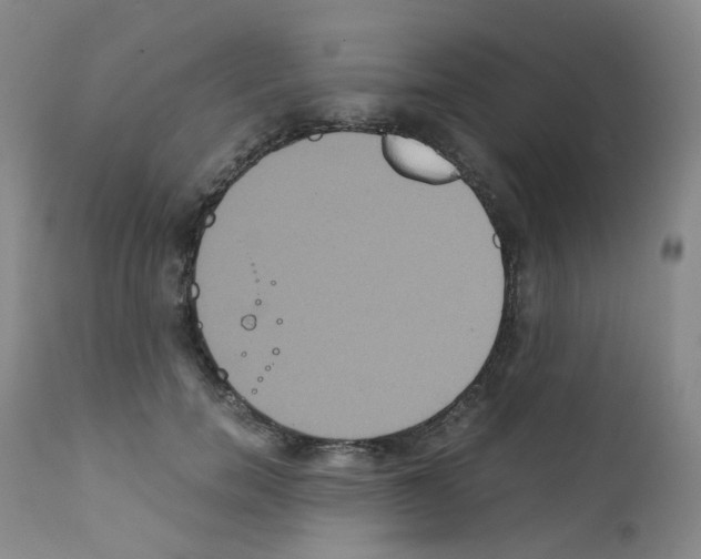 X0000111840750200909031703