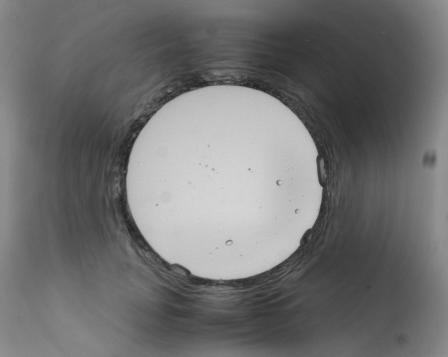 X0000111840751200909031703