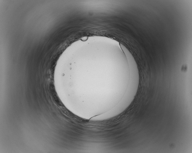 X0000111840752200909031703