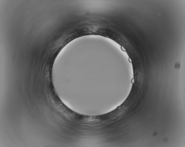 X0000111840754200909031703