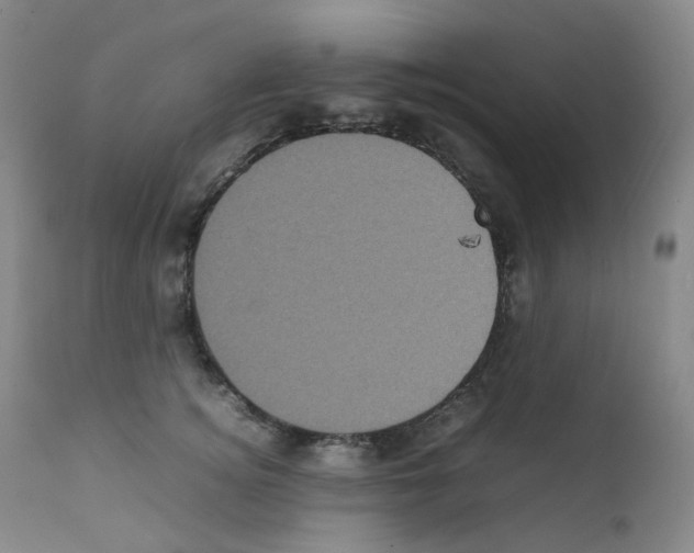 X0000111840756200909031704