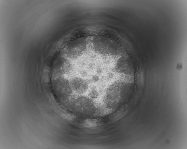 X0000111840757200909031704