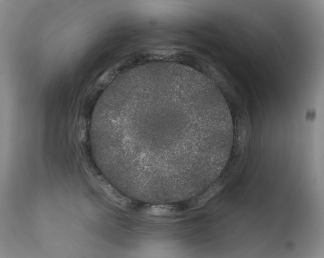 X0000111840758200909031704