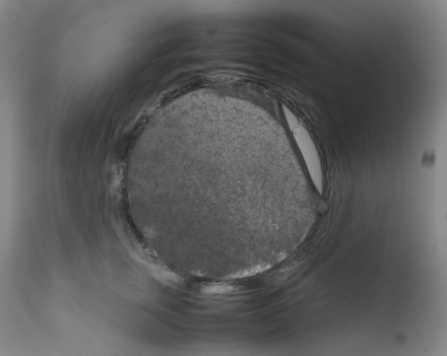 X0000111840759200909031704