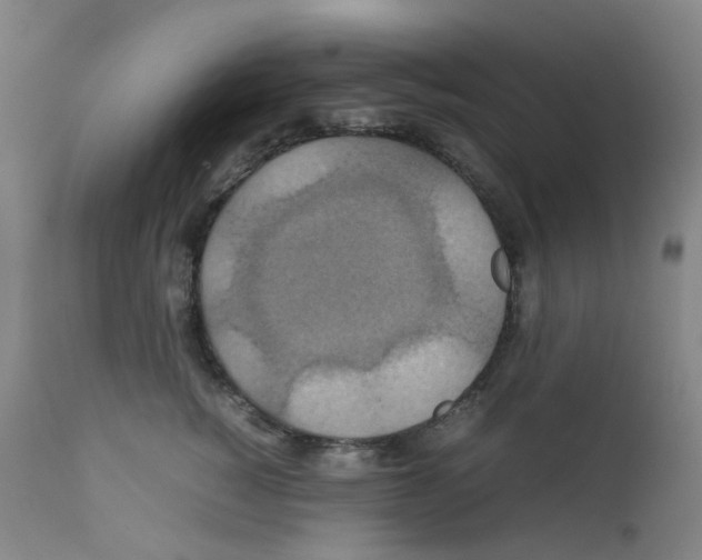 X0000111840760200909031704