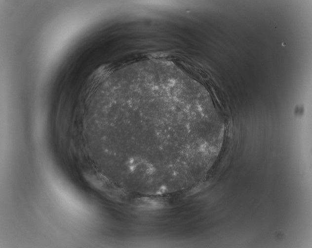 X0000111840763200909031704